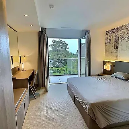 Attica Residences, Lausanne 4* 克里西耶